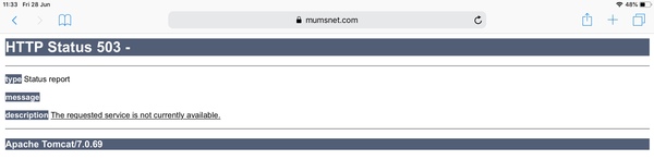Apache tomcat is back, page not displaying