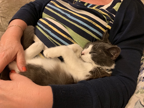 To ask what nicknames you give your pets?