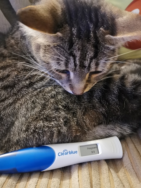 BFP - Anyone else due February 2020?