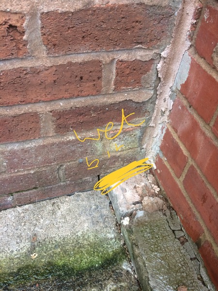 Mould - causes & best treatment ideas