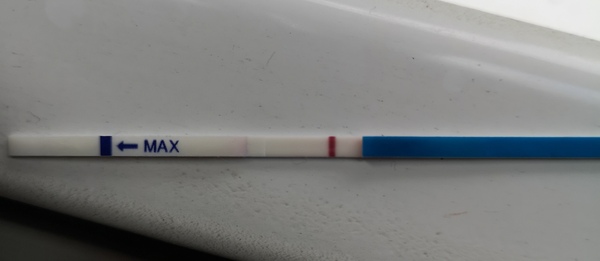 Im going crazy with these tests