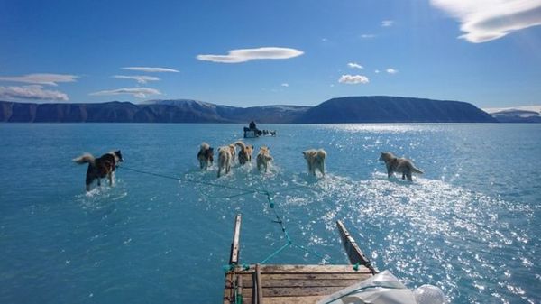 To think having kids is NOT necessarily the worst thing you could do for the environment?