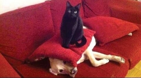 Westminstenders: Brace Yourself It's Gonna BeBoris