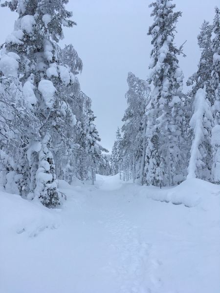 Snow.......