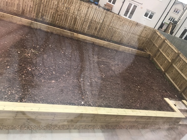 Ideas for a total blank canvas?