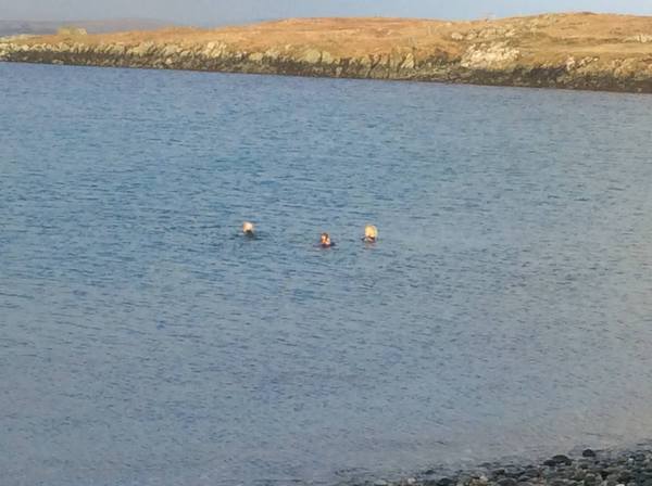To think there is a severe lack of outdoor swimming venues in the UK?