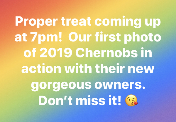 A warm woolly welcome to C2019! Chernobs ahoy!