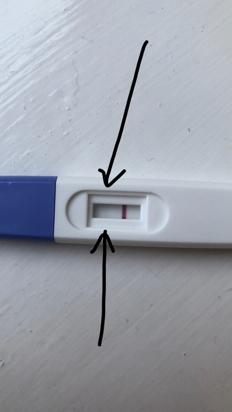 Pregnant or Evap?