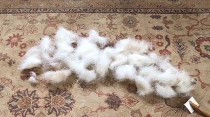 Recommend me a vacuum cleaner, please!