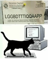 LGBTQIA+?