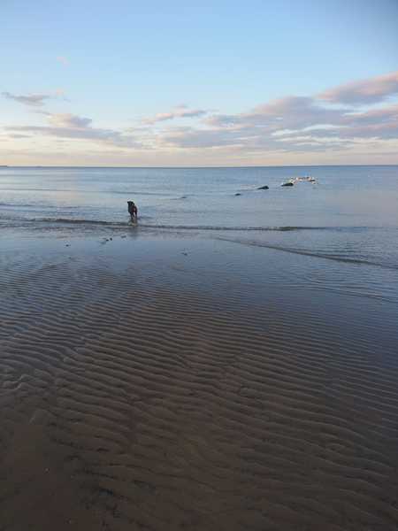 to want to live near a beach