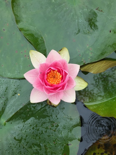 Any Witches Here? Part 8.