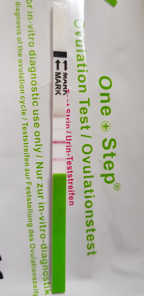 Starting again (CD1)