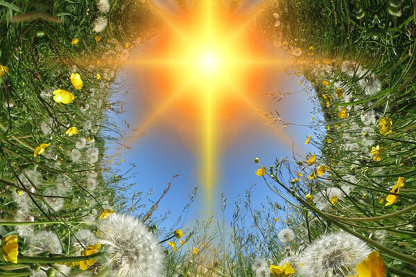 Any Witches Here? Part 8.