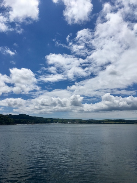 Any Witches Here? Part 8.