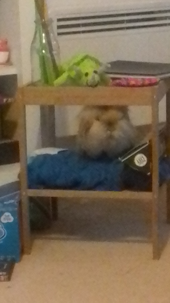 Westminstenders: Johnson v Stewart