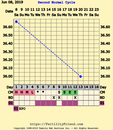 First Pregnancy Missed Miscarriage (Part III)