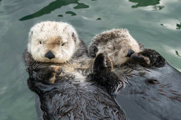 Couples holding hands is really cheesy beyond the teenage years
