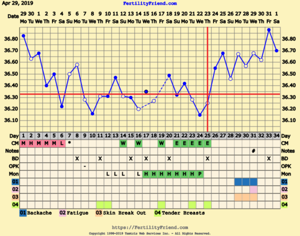 First Pregnancy Missed Miscarriage (Part III)