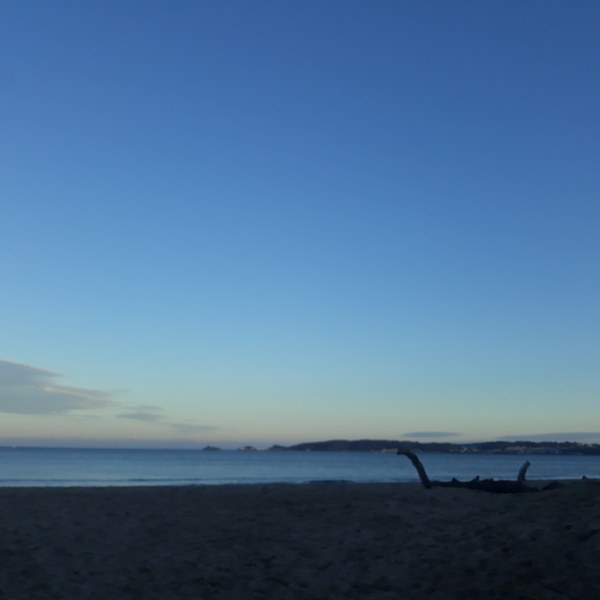 to want to live near a beach