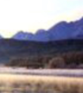 To be bored and what to play game of guess the album cover?