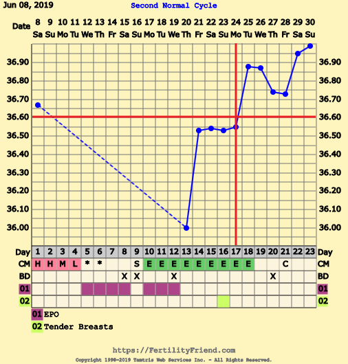 First Pregnancy Missed Miscarriage (Part III)