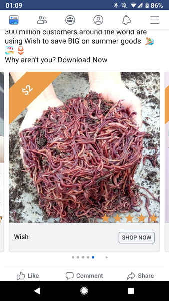 To ask what on earth this is??