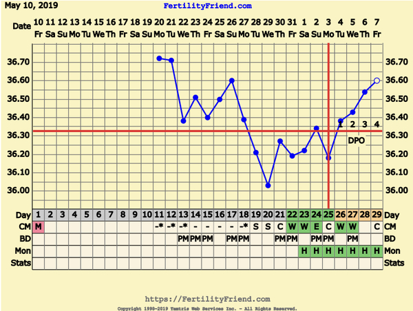 First Pregnancy Missed Miscarriage (Part III)