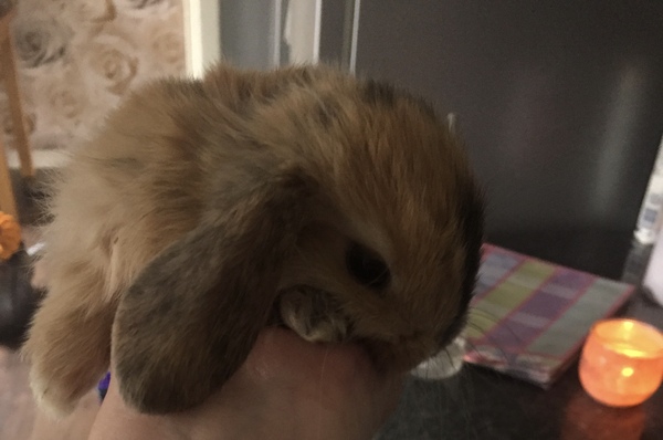 TTC First Baby Thread 18 Already!