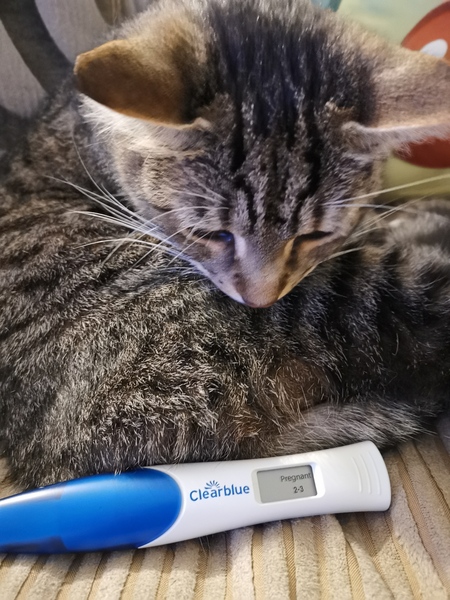 Positive at 7dpo?!
