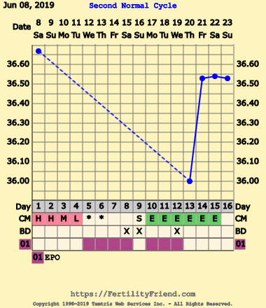 First Pregnancy Missed Miscarriage (Part III)
