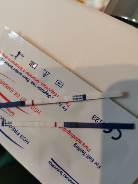 Are these evap lines