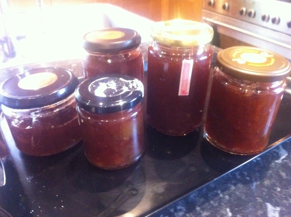 Westministenders: Hustings and Humilation