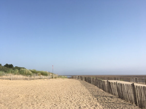 to want to live near a beach