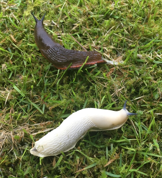 To think four inches is very definitely too long...