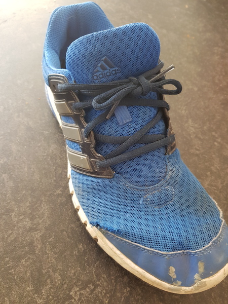 Can anyone find these trainers please?