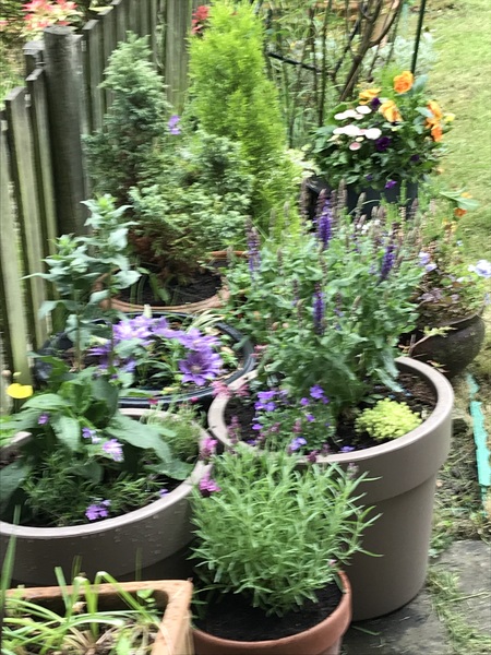 Join Money-saving May with the fantastic Frugaleers.