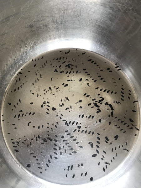 To ask if I can rescue my stainless steel saucepan