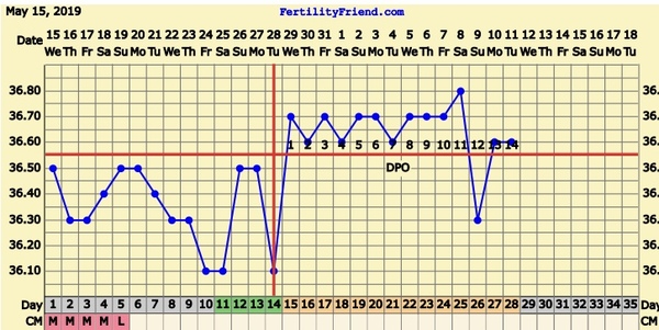 Can anyone explain my temps?