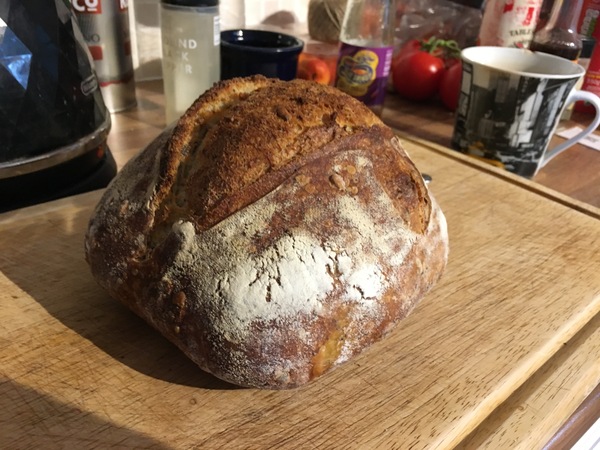 Sourdough anybody?