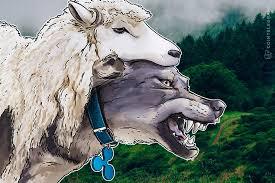 Boundaries and Allies