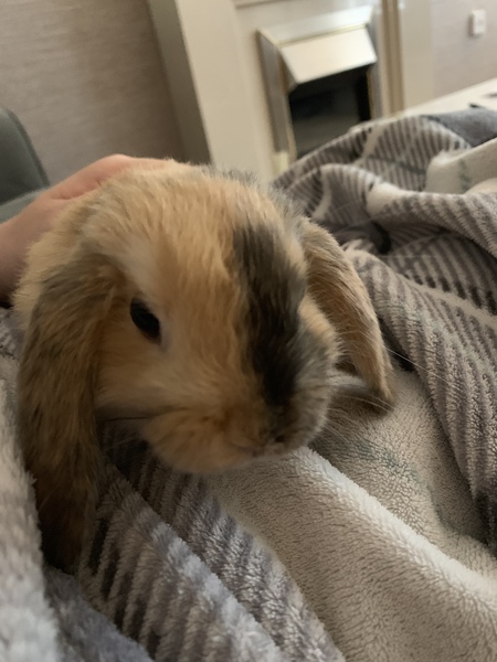 TTC First Baby Thread 19