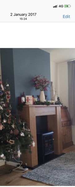 Would anyone share a picture of their free standing electric fire?