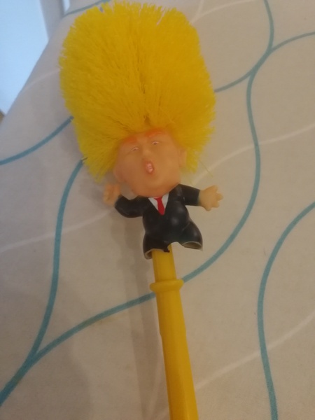 AIBU to use THIS to clean my toilet?!?