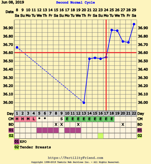 First Pregnancy Missed Miscarriage (Part III)
