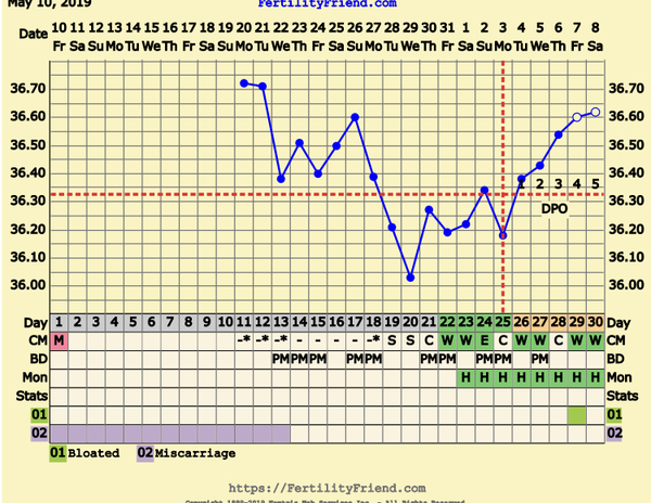 First Pregnancy Missed Miscarriage (Part III)