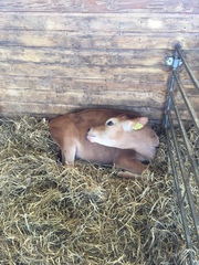 Join Money-saving May with the fantastic Frugaleers.