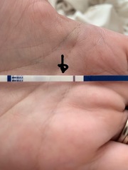I’m going crazy over the pregnancy tests