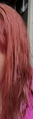 I have absolutely ruined my hair. Ruined it.