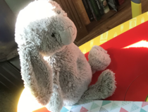 Does anybody have/help me find the 2018 co-op Easter bunny toy please